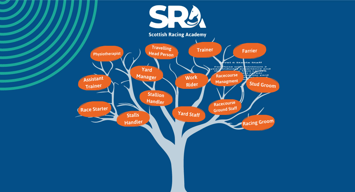 Course Roadmap Image