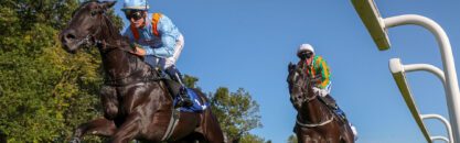 National Progression Award in Specialist Racehorse Care