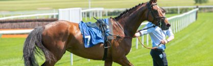 National Progression Award in Thoroughbred Preparation