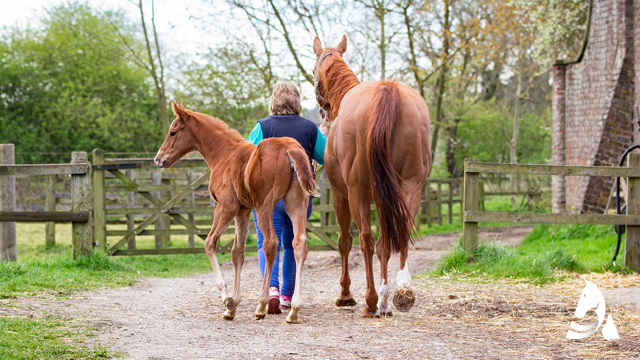 Scottish Racing Academy Gallery Image 7