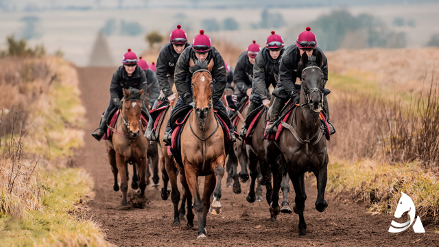 Scottish Racing Academy Gallery Image 4