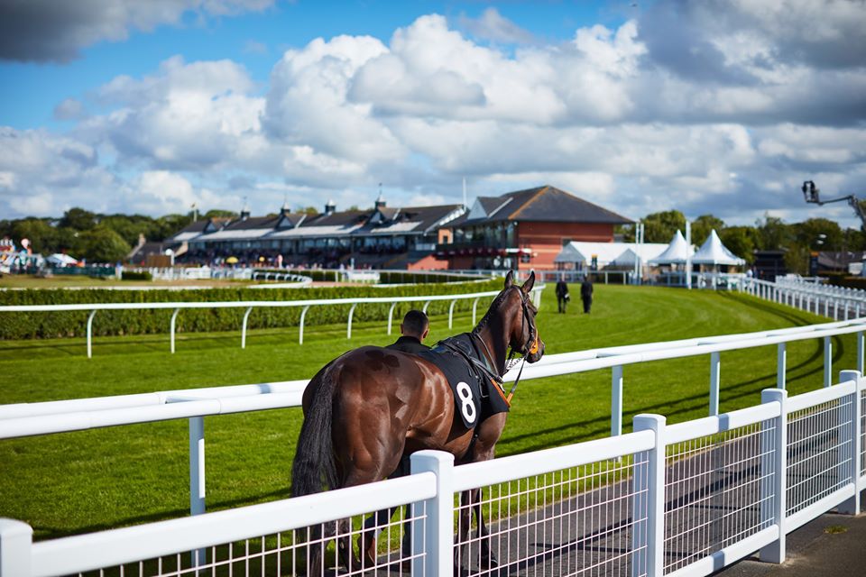 The Scottish Racing Academy welcomes New Trustees to their Board