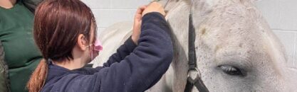 Level 6 Horse Care Modern Apprenticeship (Scotland)